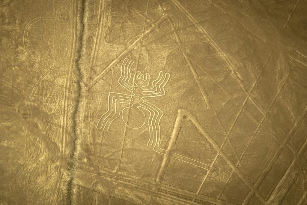 linhas de Nazca: biomorfo da aranha