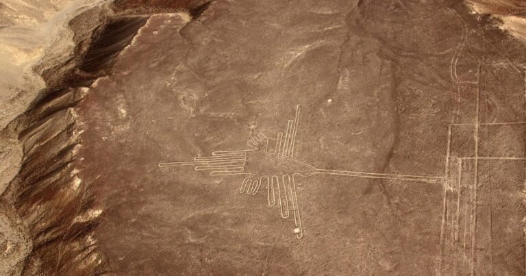 linhas de Nazca: biomorfo do beija-flor