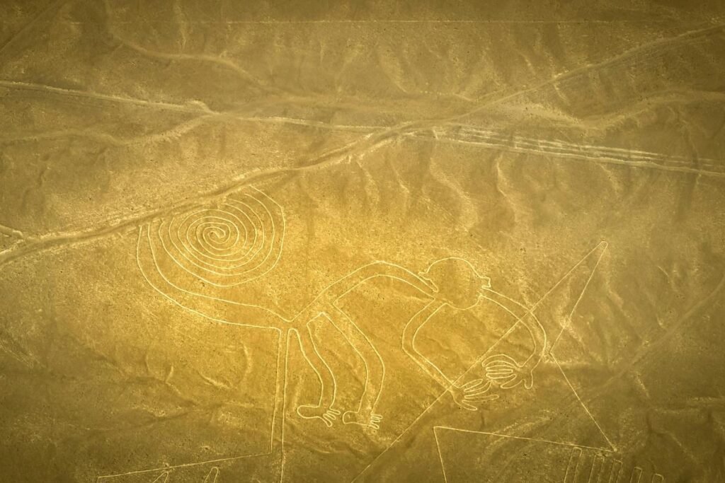 linhas de Nazca: biomorfo do macaco