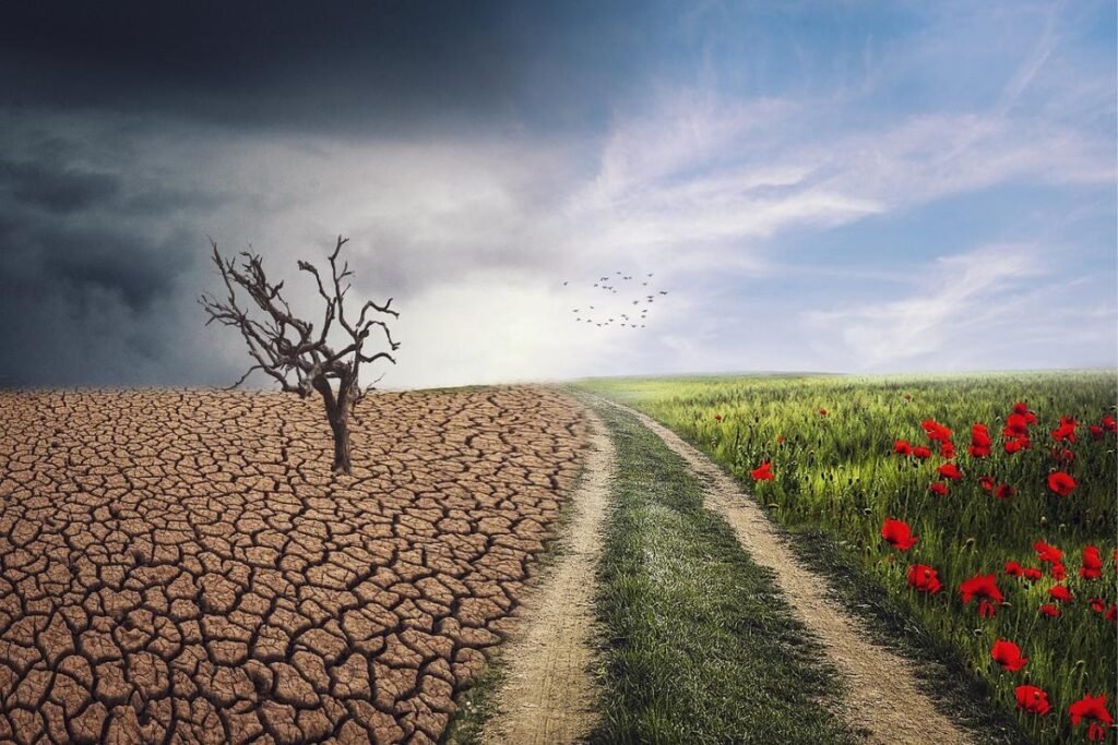 as mudanças climáticas ao longo dos anos