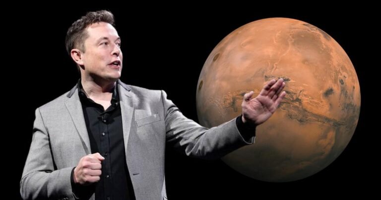 Elon Musk, o gênio da tecnologia