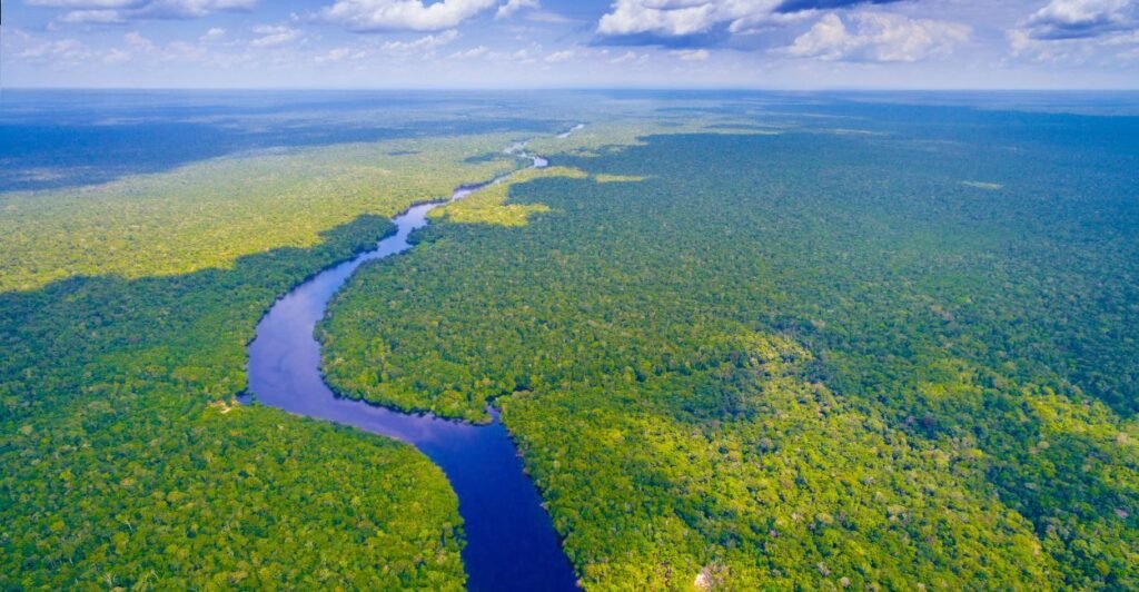 a maior bacia hidrográfica do planeta, Rio Amazonas.