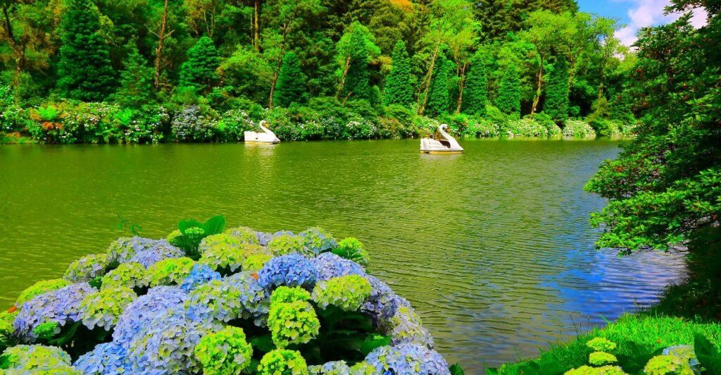 O Que Fazer em Gramado: Aproveite Cada Cantinho 2 o Lago Negro